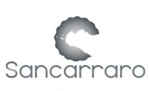 logo-sancarraro-cat-2